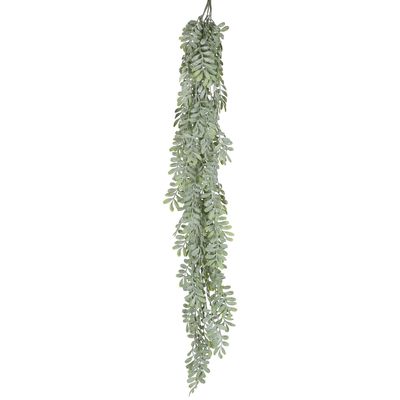 Pepper Fern Hanging Vine 115CM