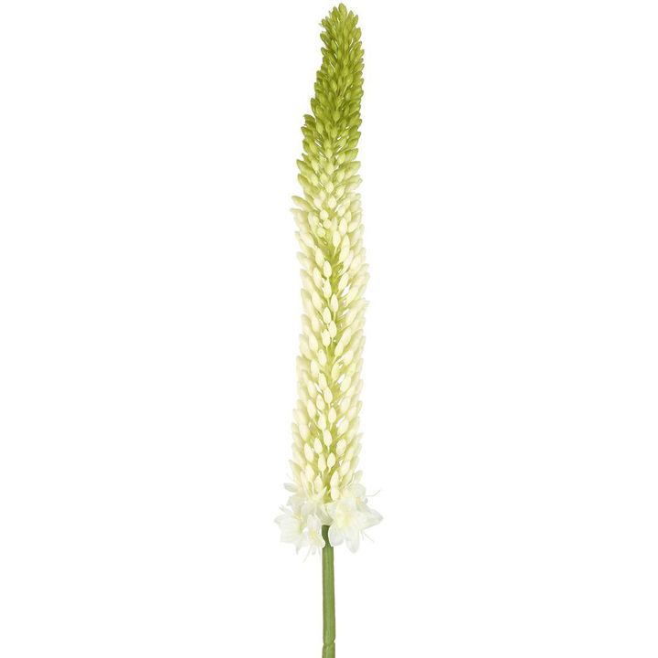 Fox Tail Stem 84cm Cream Green
