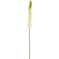 Fox Tail Stem 84cm Cream Green