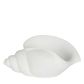Conch Polyresin Shell White