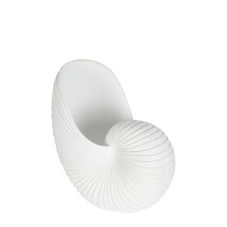 Nautilus Polyresin Shell White