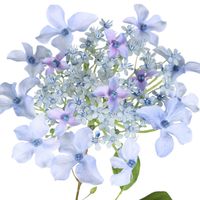 Hydrangea Spray 70cm Blue