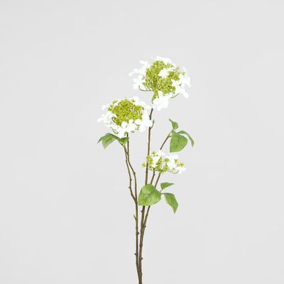 Lace cap Hydrangea Spray 70cm White