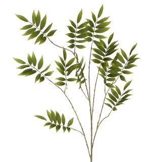 Sorbus Leaf Spray 159cm Green
