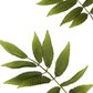 Sorbus Leaf Spray 159cm Green