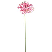 Nerine Lily Stem 61cm Pink