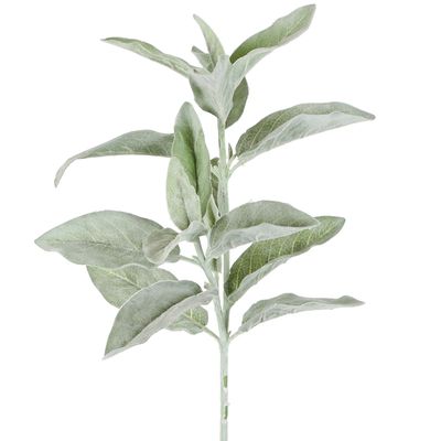 Lamb's Ear Flocked Stem 71cm Green