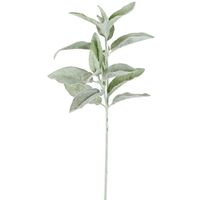 Lamb's Ear Flocked Stem 71cm Green