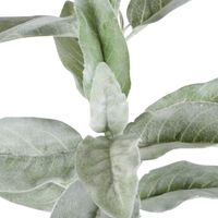 Lamb's Ear Flocked Stem 71cm Green