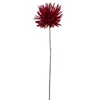 Mum Stem 71cm Burgundy