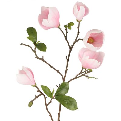 Magnolia Bud Spray 90cm Pink