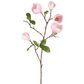 Magnolia Bud Spray 90cm Pink