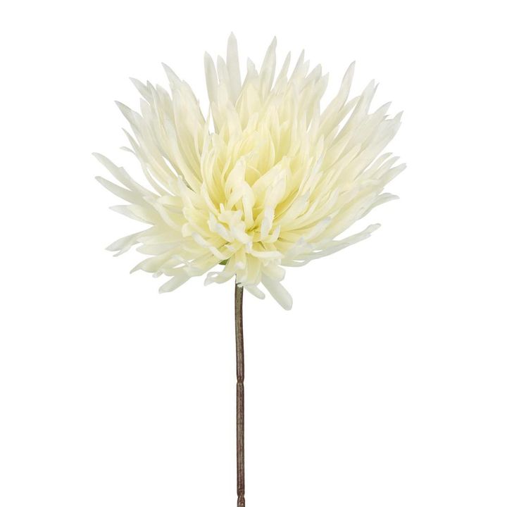 Mum Stem 71cm Cream