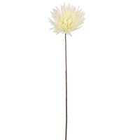 Mum Stem 71cm Cream