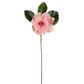 Soulangiana Magnolia Stem 60cm Pink