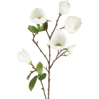 Magnolia Bud Spray 90cm White