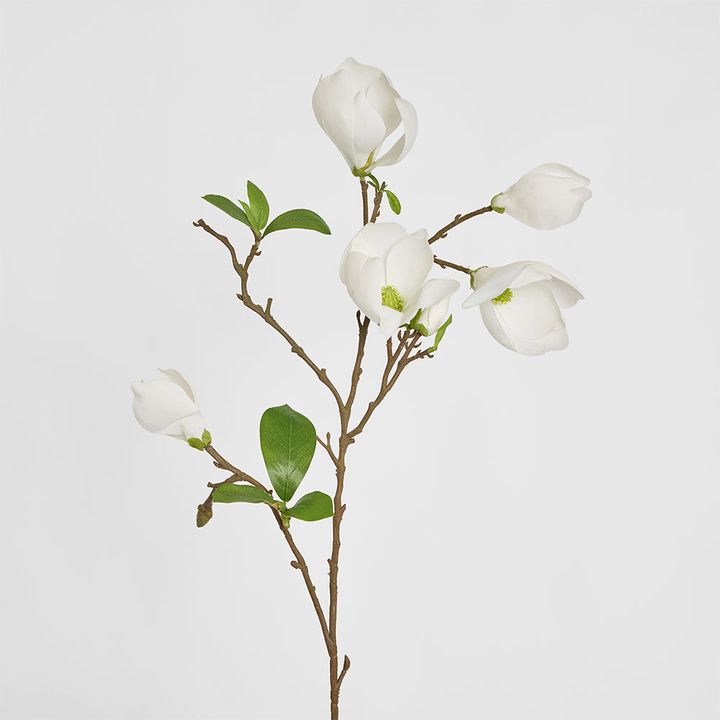 Magnolia Bud Spray 90cm White