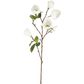 Magnolia Bud Spray 90cm White