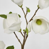 Magnolia Bud Spray 90cm White