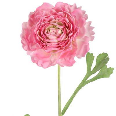 Ranunculus Stem 56cm Pink