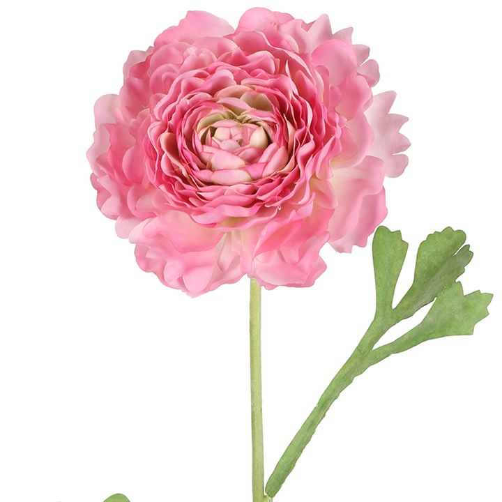 Ranunculus Stem 56cm Pink