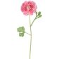 Ranunculus Stem 56cm Pink