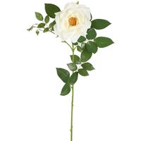 Chelsea Rose Stem 97cm White