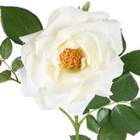 Chelsea Rose Stem 97cm White