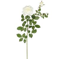 Darcey Rose Spray 100cm White