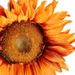 Sunflower Spray 87cm Orange