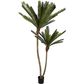 Cycus Palm Tree 220cm