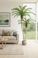 Cycus Palm Tree 220cm