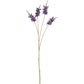 Salvia Nutans Sage Spray 84cm Lavender