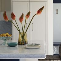 Red Hot Poker Stem 69cm Orange