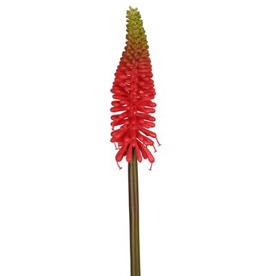 Red Hot Poker Stem 69cm Red