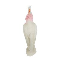 Galah Perched Bird Large Pink