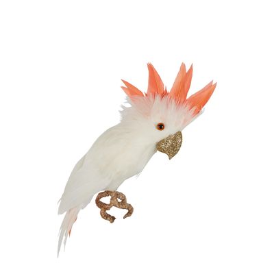 Galah Flying Bird Small White