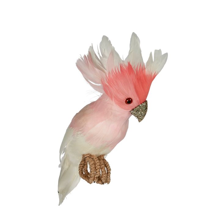 Galah Flying Bird Small Pink
