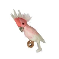 Galah Flying Bird Small Pink