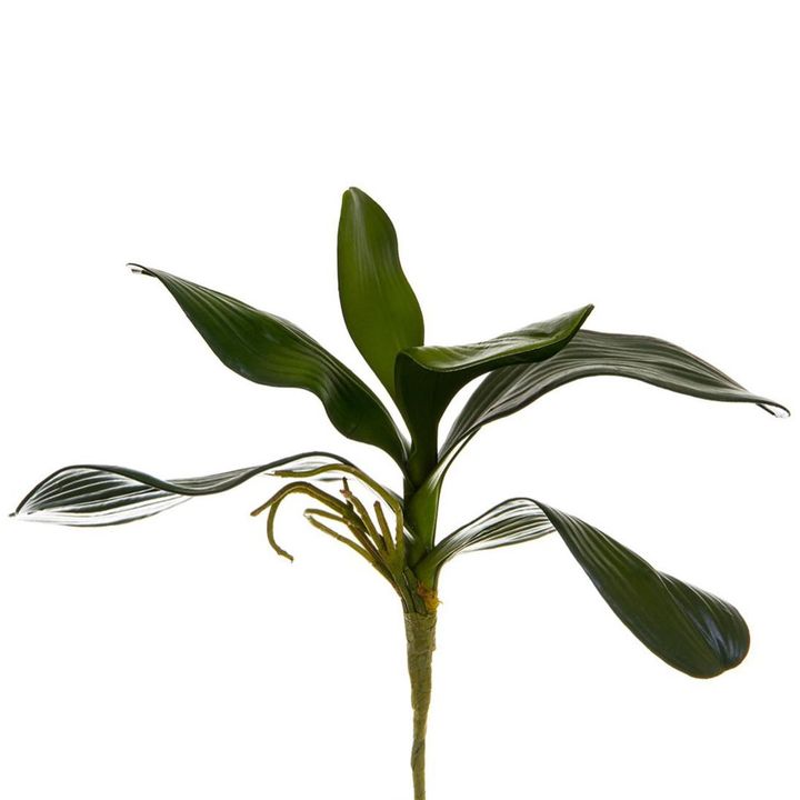 Orchid Leaf Cluster 35cm Green