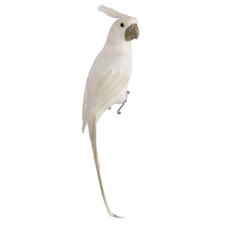 Crawford Glitter Beak Parrot White