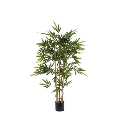 Bamboo Tree 1.2m