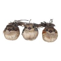 Woodland Boxed Set of Three Clip on Birds Brown