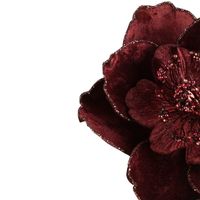 Plume Velvet Clip on Magnolia Burgundy