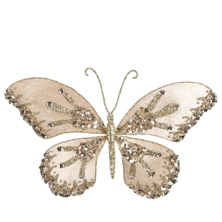 Renia Butterfly Pick Champagne