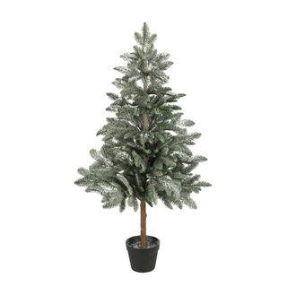Moncton Frosted Potted Pine Tree Green