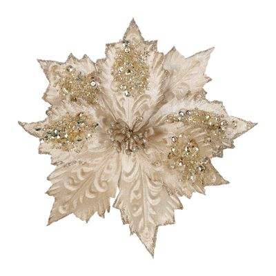 Stella Clip on Poinsettia Champagne