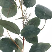 Eucalyptus Seed Spray Grey 83cml