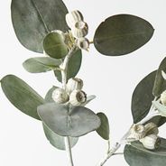 Eucalyptus Tetragona Spray Grey Green  61cml