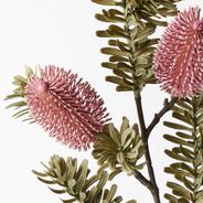 Banksia Spray Pink 66cml